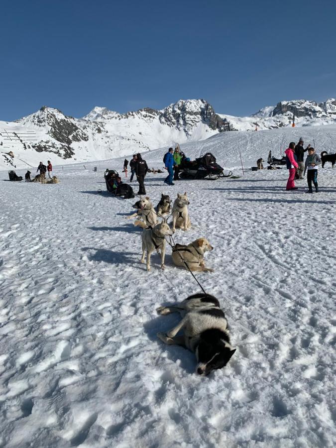 Bel Appartement Ski Aux Pieds Plagne Bellecote La Plagne Dış mekan fotoğraf