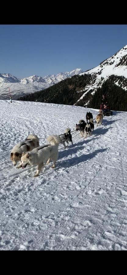 Bel Appartement Ski Aux Pieds Plagne Bellecote La Plagne Dış mekan fotoğraf