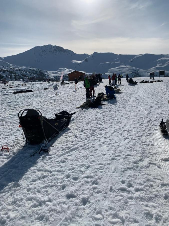 Bel Appartement Ski Aux Pieds Plagne Bellecote La Plagne Dış mekan fotoğraf